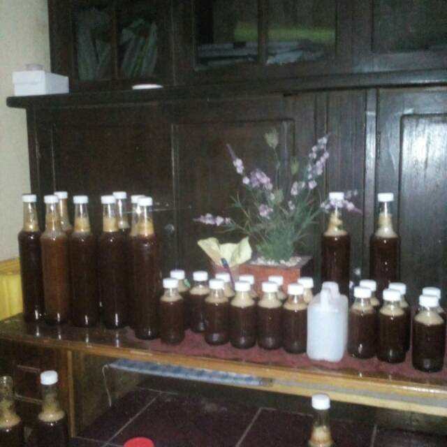 

Madu Hutan Asli