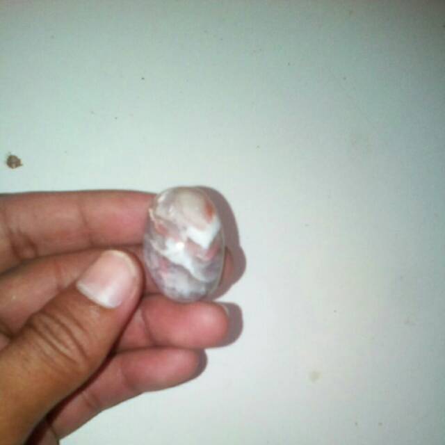 Batu akik bacan junjung derajat