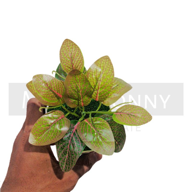 TANAMAN BUNGA ARTIFICIAL BUNGA HIAS DEKORASI HIASAN RUMAH BUNGA PLASTIK MURAH BUNGA AGLONEMA MINI-3