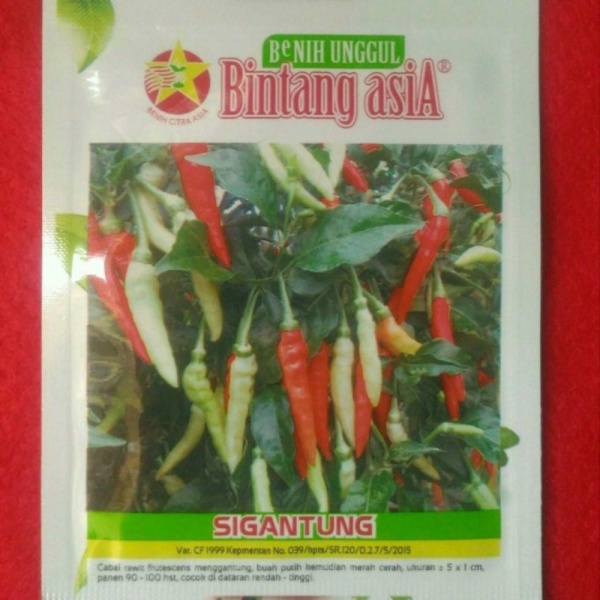 Promo Benih Cabai Rawit SIGANTUNG Limited