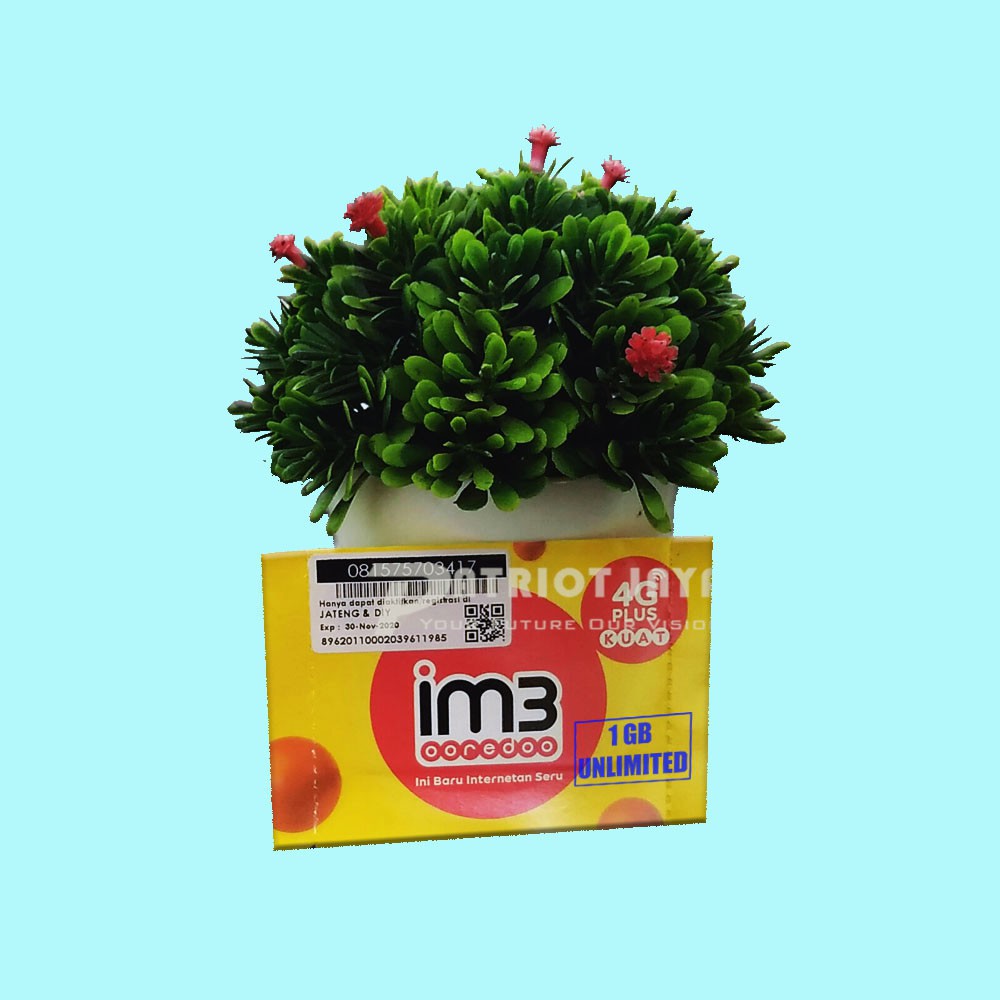 SP Indosat Unlimited 1 GB