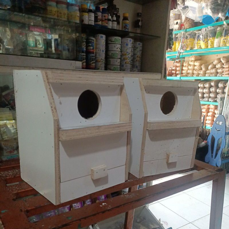 kandang burung dara gupon dara original