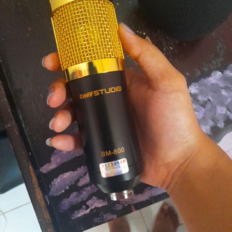 Mic BM800