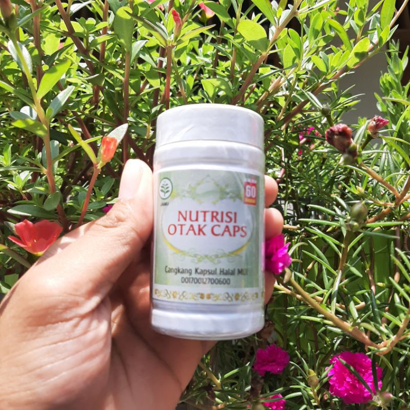 

HERBAL NUTRISI OTAK