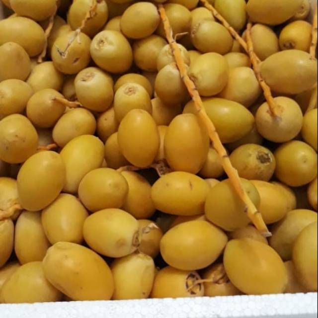 

Kurma ruthob barhe 500 gram