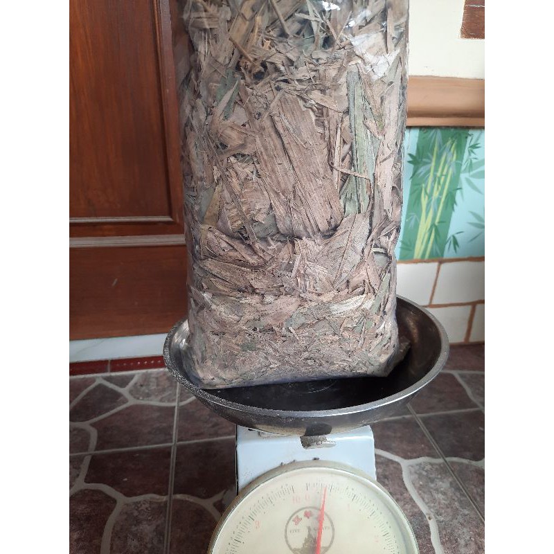 daun bambu kering