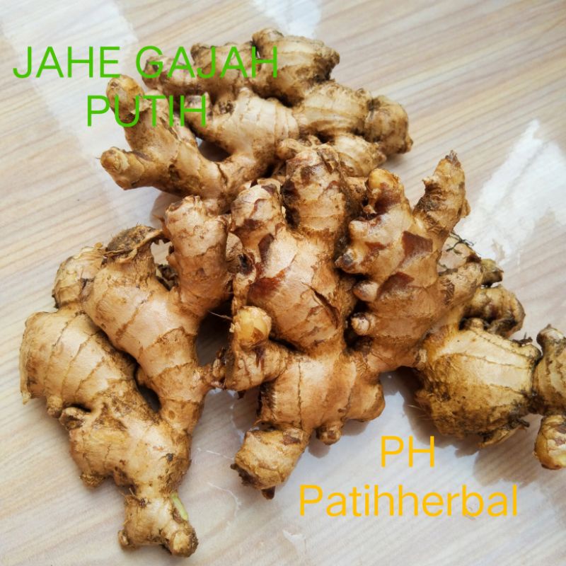 

Jahe Gajah/Jahe Putih/Jahe Jumbo/Jahe Bumbu Masak 1Kg