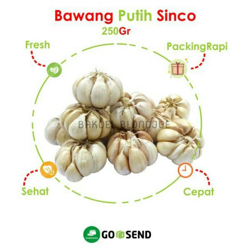 

BAWANG PUTIH SINCO / GARLIC / SAYURAN SEGAR BUMBU DAPUR / BUMBU MASAK / FRESH VEGETABLES / TERMURAH