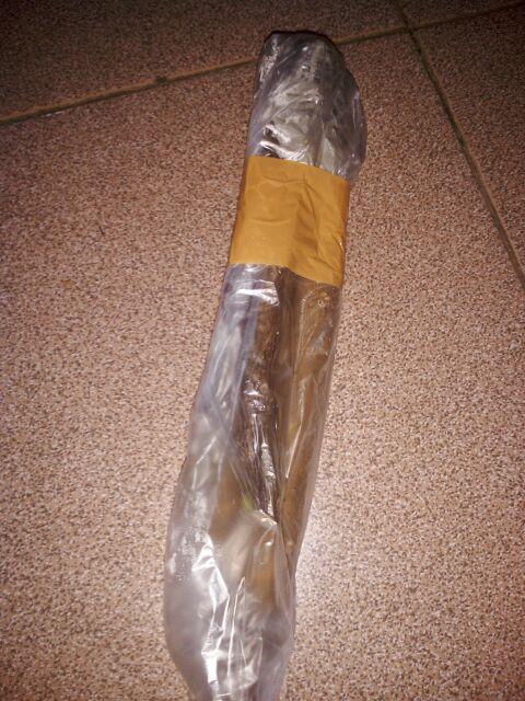 Tanaman Hias Bougenville Singapur Varigata Sudah Berakar. Bogenvile