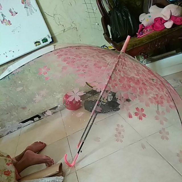 Payung Transparan Motif Bunga Sakura Keren Cantik / Payung Sakura / Payung Bunga / Payung Bening