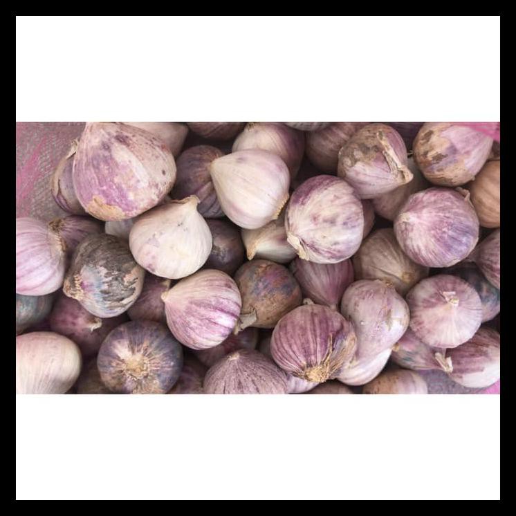 

Bisa Cod Bawang Putih Tunggal - Mix Original Kode 1293