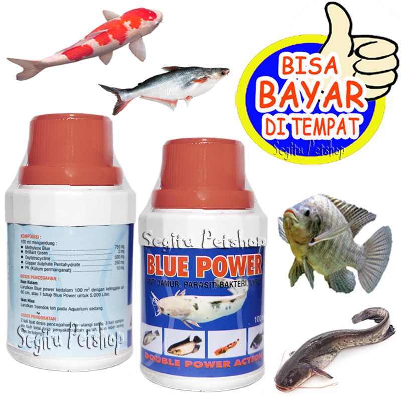 OBAT IKAN PENGHILANG JAMUR KORENG ANTI VIRUS MAS GURAME MUJAER BAWAL PATIN LELE BAWAL BLUE POWER
