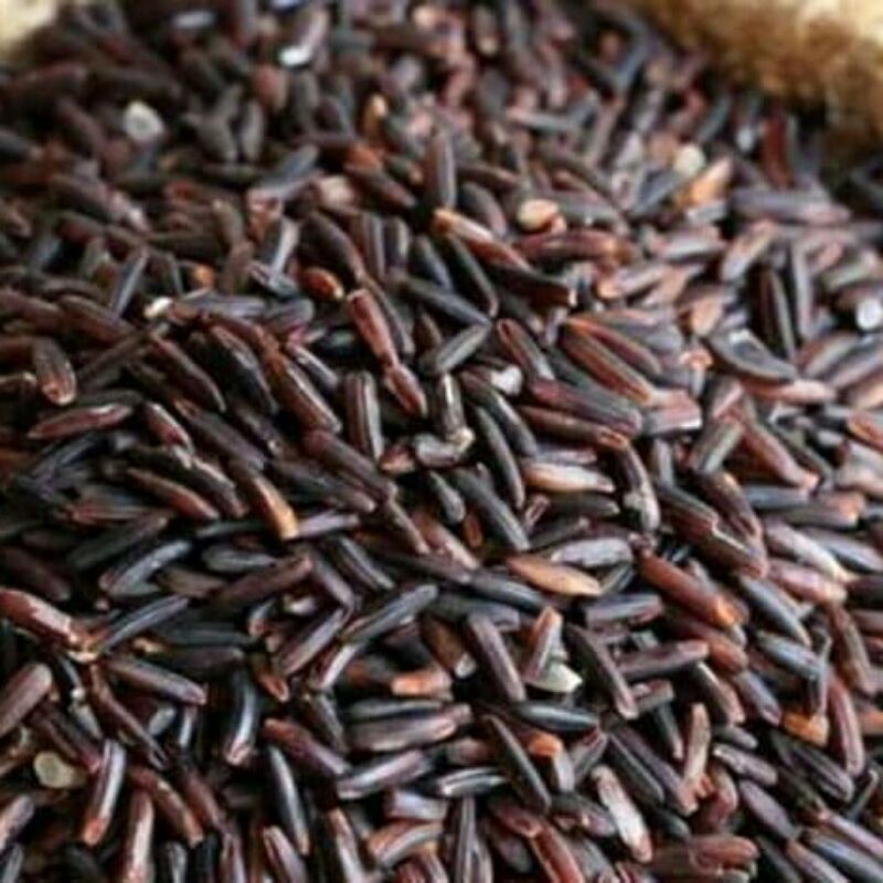 

Beras hitam organik