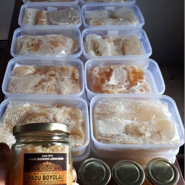 

Sarang madu kotak