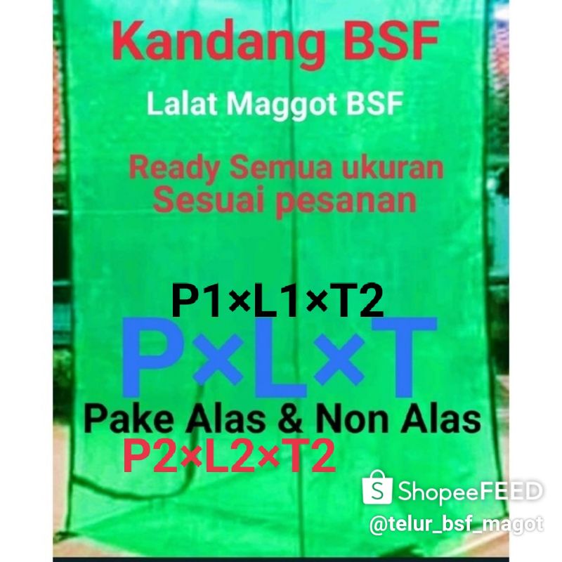 Kandang lalat maggot bsf portabel 1×1×Tinggi2 paling murah