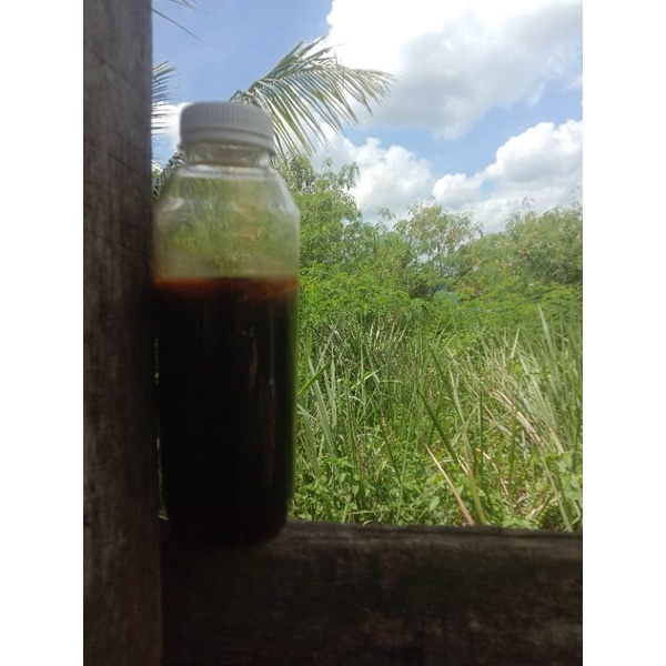 

Madu Akacia