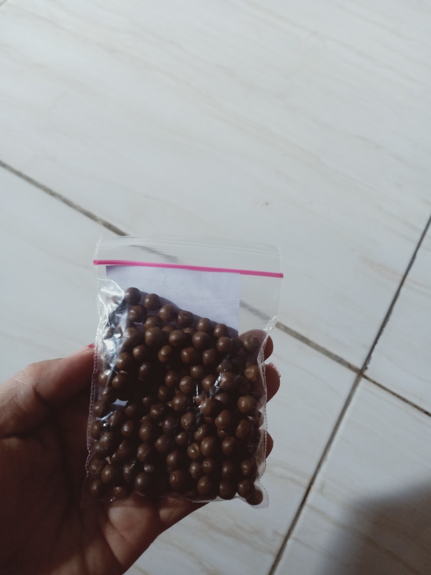 Pil Pinang Anum Kering