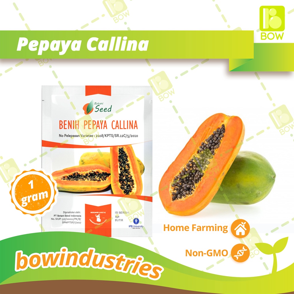 Benih Bibit Buah Pepaya Calina California Asli Bersetifikat IPB 9 BPD