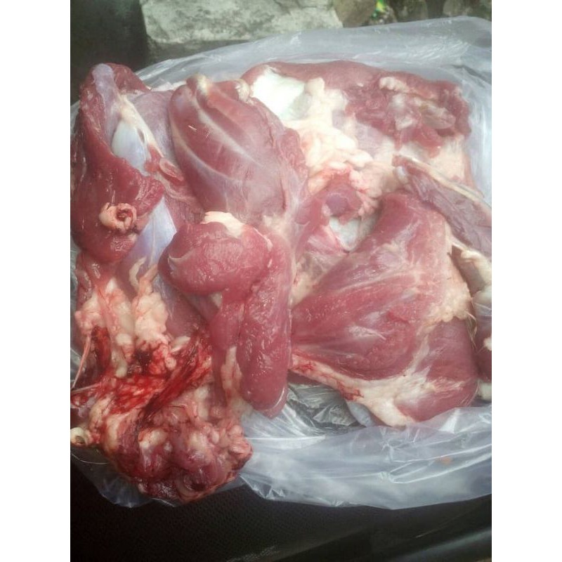 

Daging Kambing Muda 1/2kg