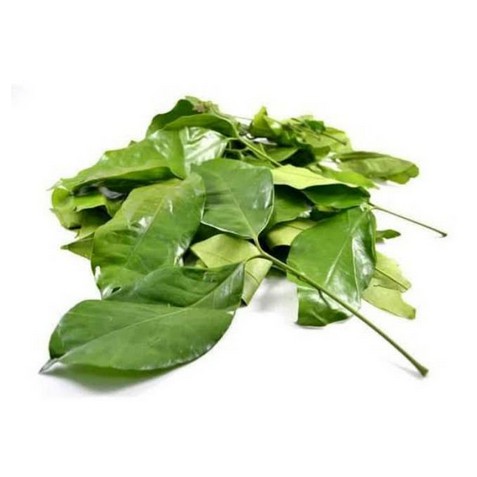 

Rahasia_dapurku sayur sayuran segar Daun melinjo sayur asem 250gr fresh