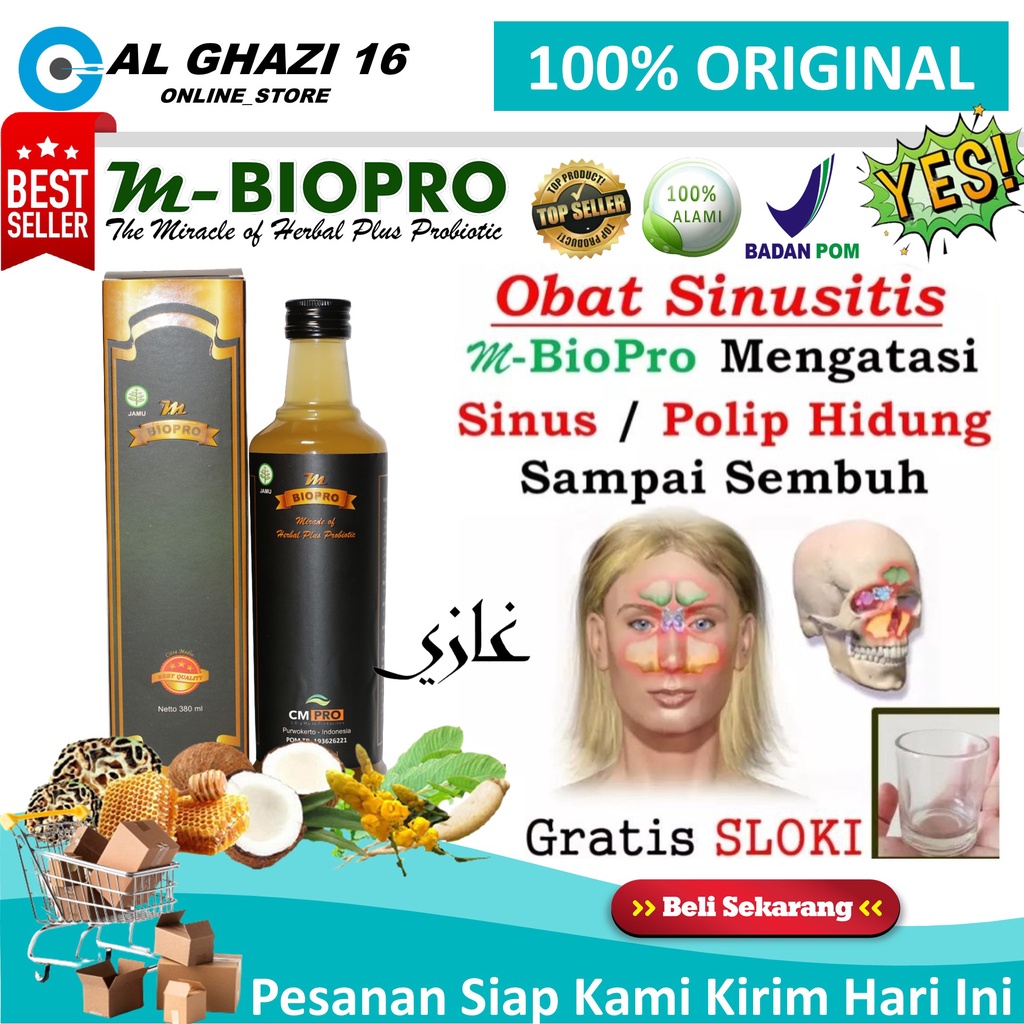 Obat Khusus Sinusitis Sinus Polip Hidung Paling Ampuh Herbal Manjur Gurah Radang Benjolan Di Dalam H