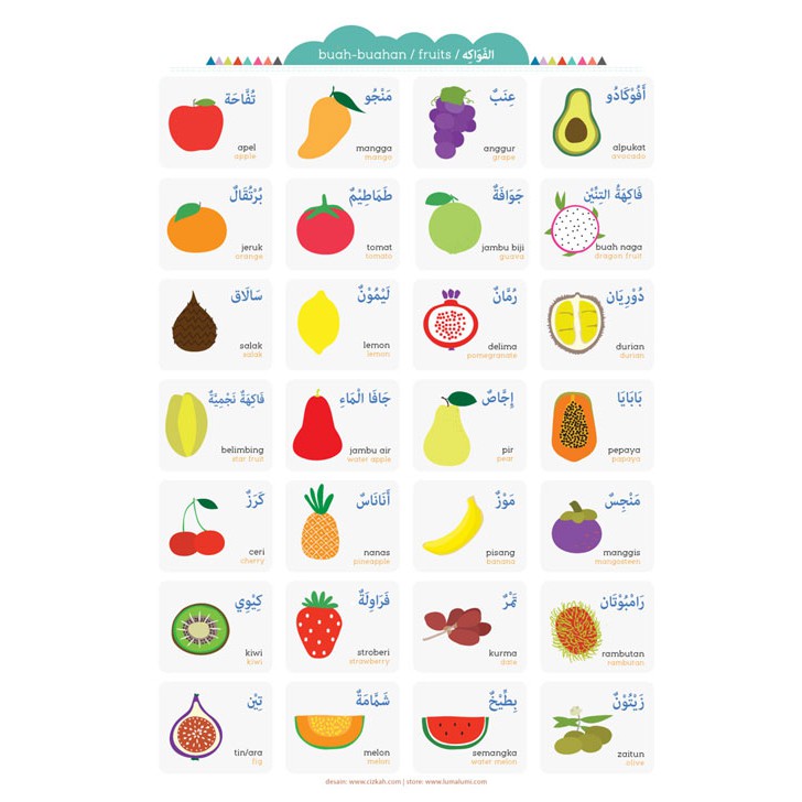 Poster Anak Nama Buah Buahan Shopee Indonesia