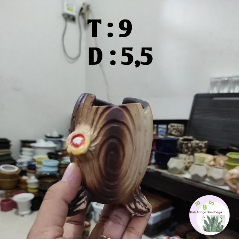 Pot kaktus Keramik / Pot mame Keramik model batang pohon