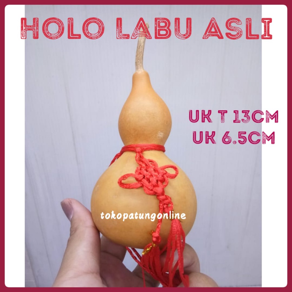 Labu Asli Holo Wu Lou Fengshui Jumbo Polos