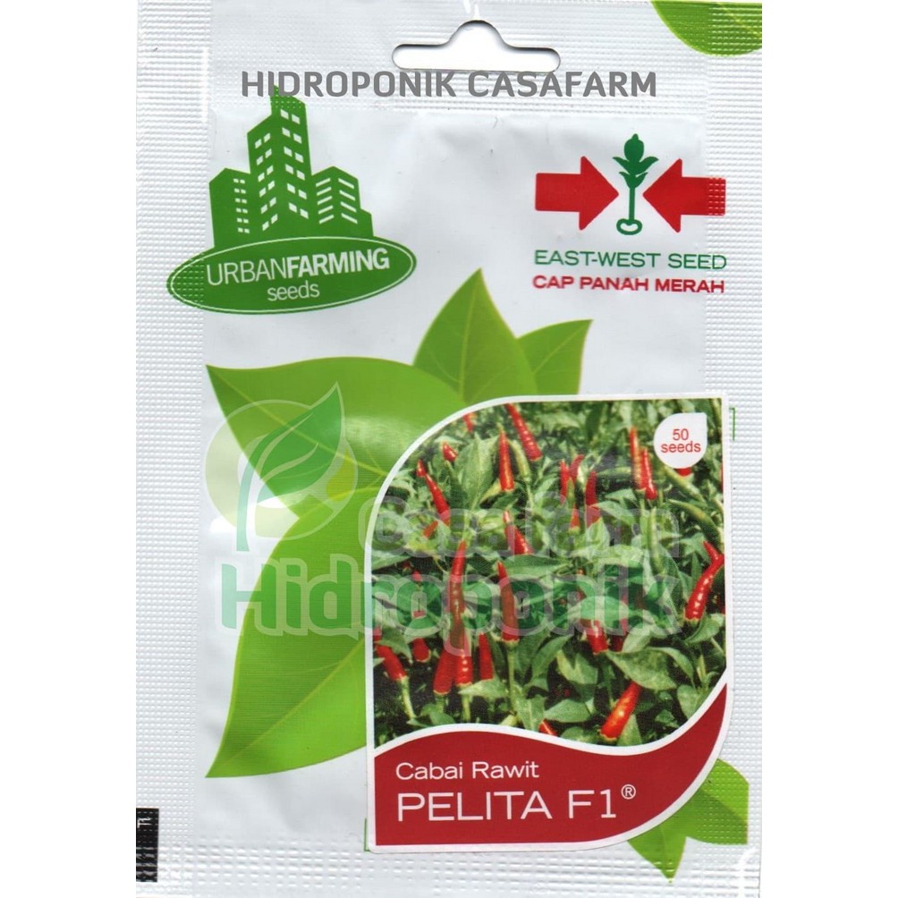Langsung Order Benih PM Cabe - Pelita - Cabai Rawit - Cabai Rawit Pelita Berkualitas