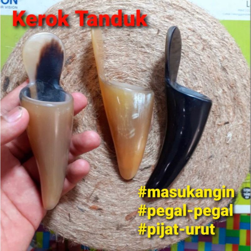 Alat Kerokan Barqun Tanduk Tradisional