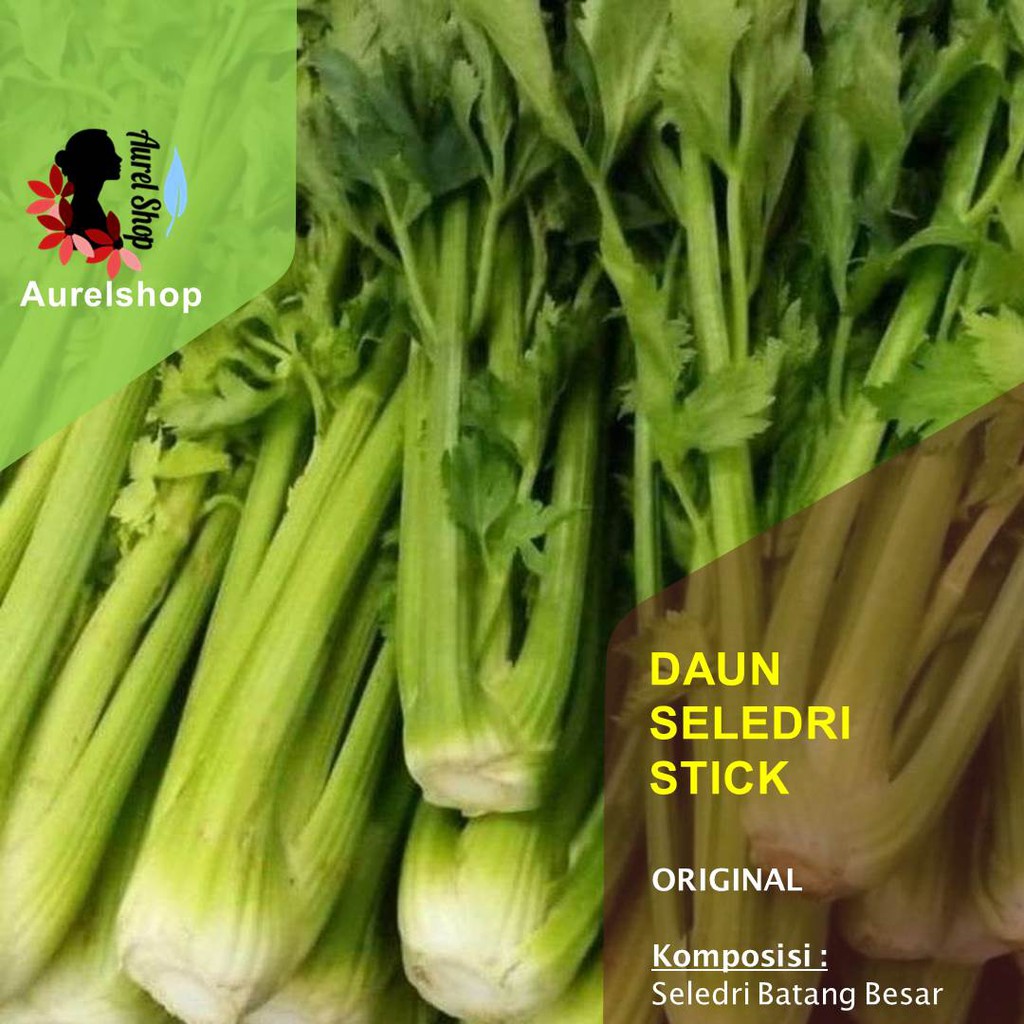 

Daun Seledri Stik Sledri Batang Segar Celery Stick Fresh kemasan 1 kg