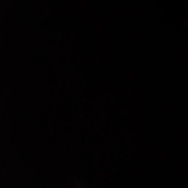 Lady Rose - Sprei Rumbai King 180x200 Motif Krista / Vallen / Hindia / Blend / Furla / Tropica / Usa