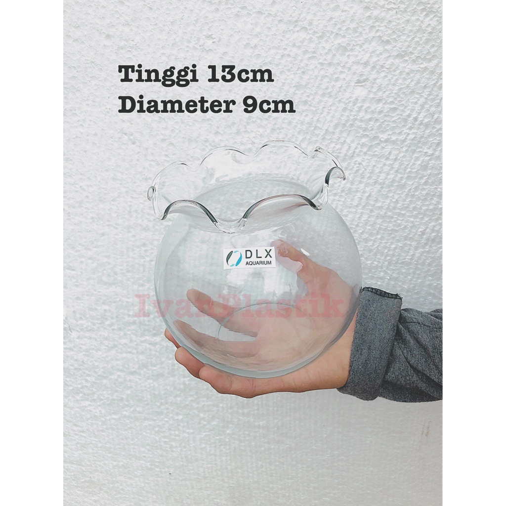 AQUARIUM KACA DLX FISH BALL SHELLA 1.5 L