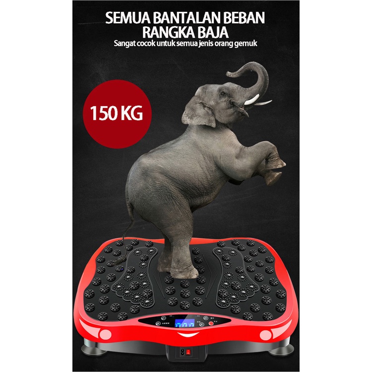 Alat Pijat Elektrik Body Slimmer Alat Pelangsing Perut Alat Olahraga Alat Fitness Triumph KL006