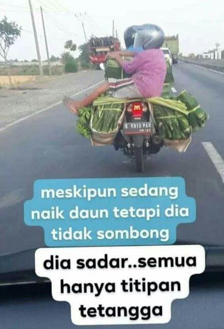 Kotak Bekal Bug & Bee