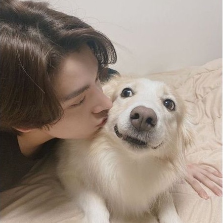 [ready] tc en-connect Jungwon Heeseung Jay Jake Sunghoon Sunoo Ni-ki trading card enconnect