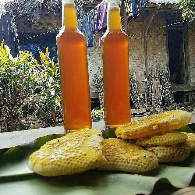 

Madu Hutan Asli Baduy