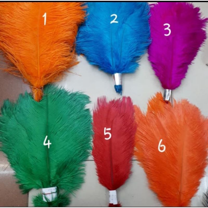 Bulu Dekorasi Ostrich uk. 30-35 cm