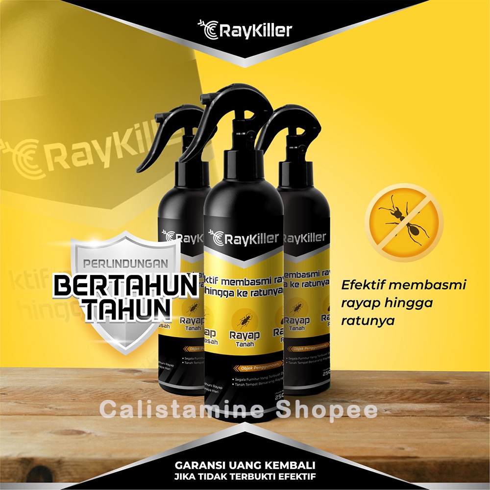 RayKiller Obat Pembasmi Rayap Spray Efektif Melindungi Furnitur Kayu Rumah