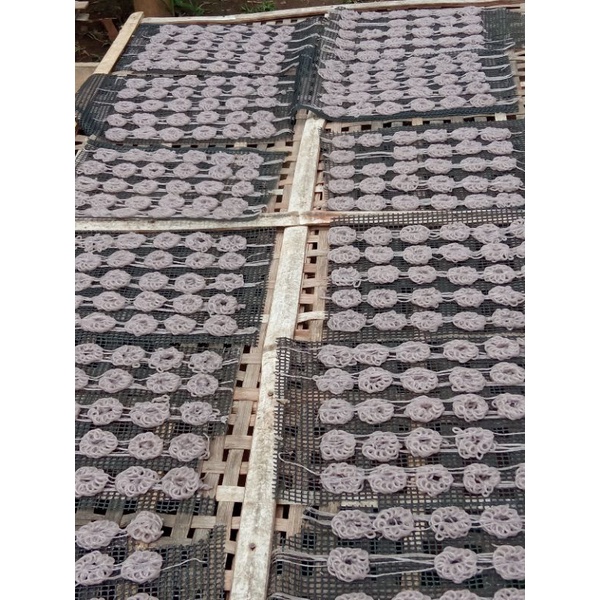 

kerupuk putih kampung 23000/kg