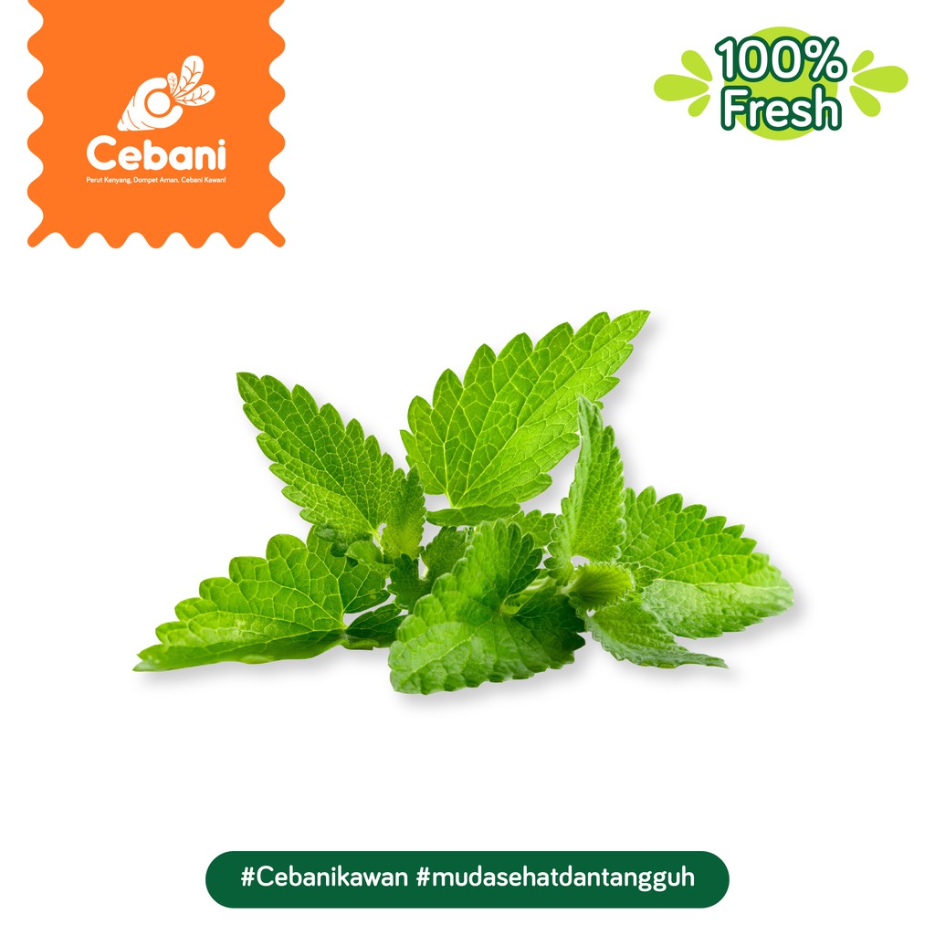 

Daun Mint 250 Gr Cebani