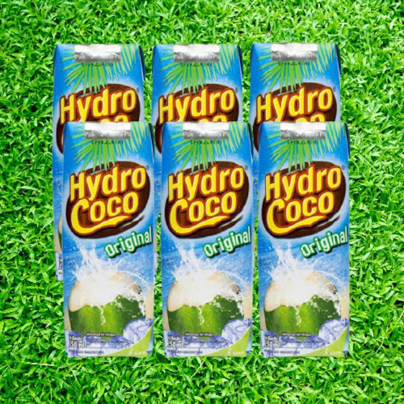 

Hydro Coco 250 ml (Air Kelapa Kemasan) 1 Karton Isi 24