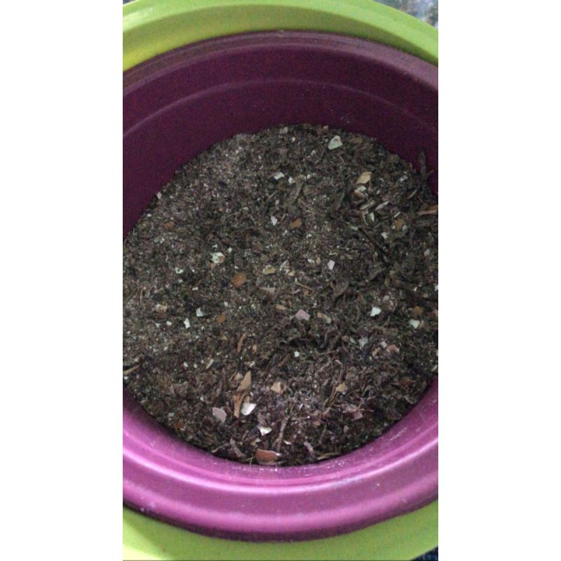 (REPUPUKISGOOD) PUPUK ORGANIK DARI CANGKANG TELUR DAN KULIT PISANG 1KG
