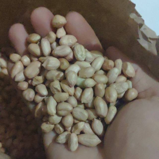 

Kacang tanah 250gram