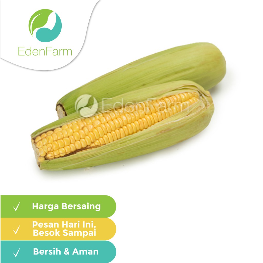 

Jagung Manis 250gr Eden Farm