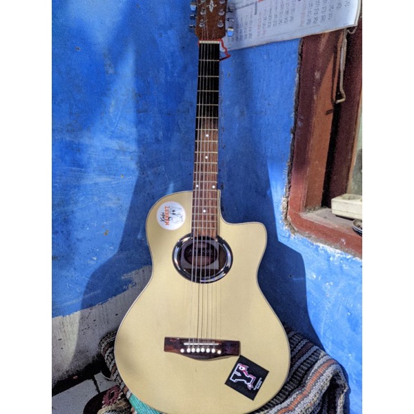 gitar apx500ii