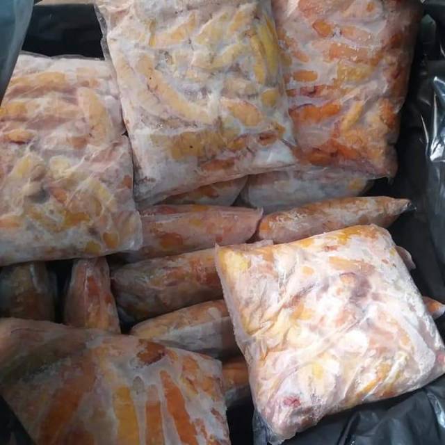 

Telur ikan gabus