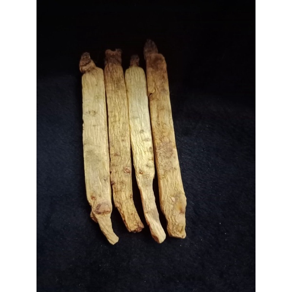 

Akar Korean red ginseng / akar Kolesom 高丽参 50 gram