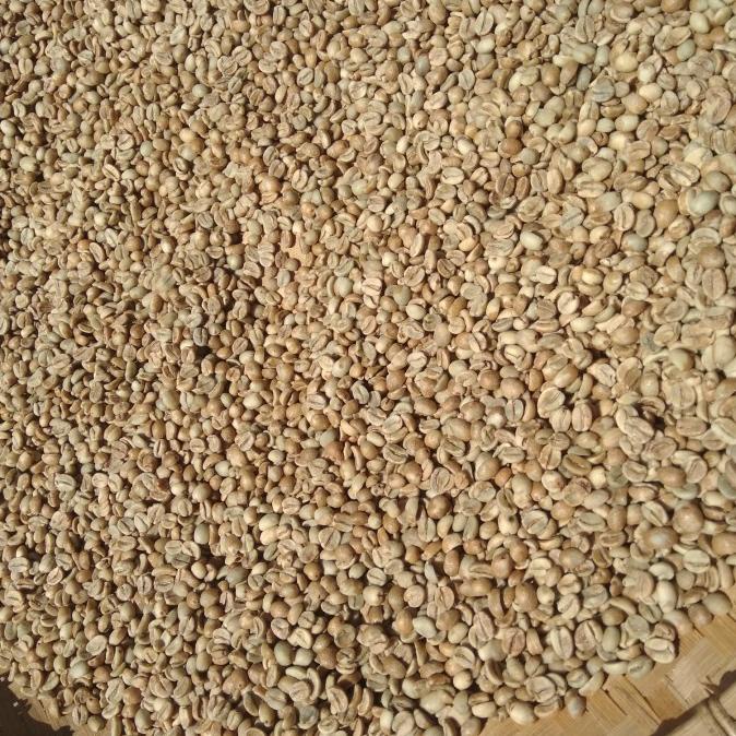 

kopi yellow calturra arabika natural proses Green bean