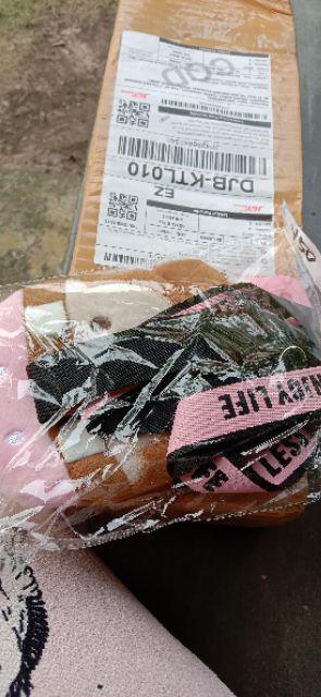 ((newww!!)) Paket 7 Bibit Bunga Tumpuk Adenium - Bibit Kamboja Jepang